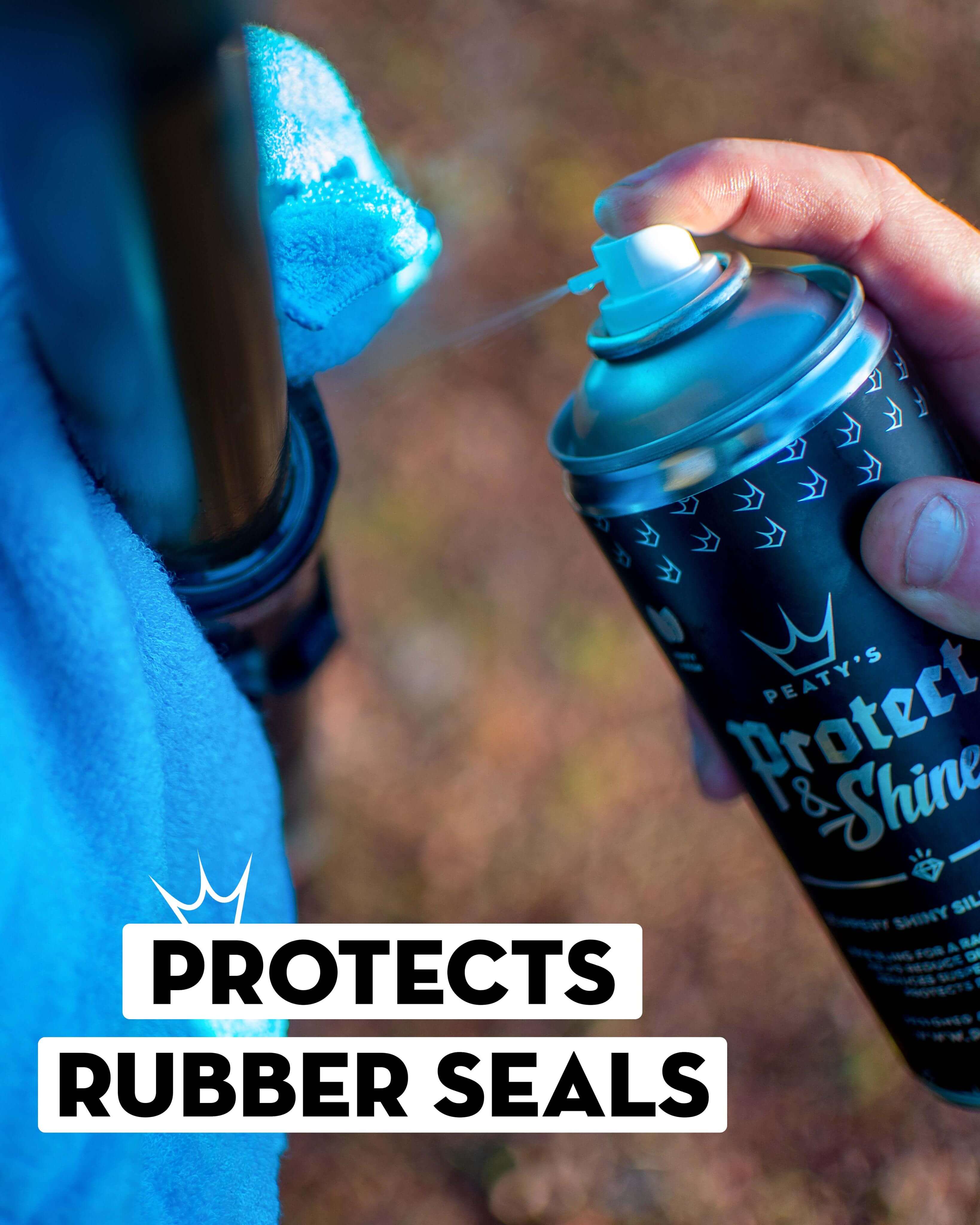 Protect and Shine Infographic (4).jpg