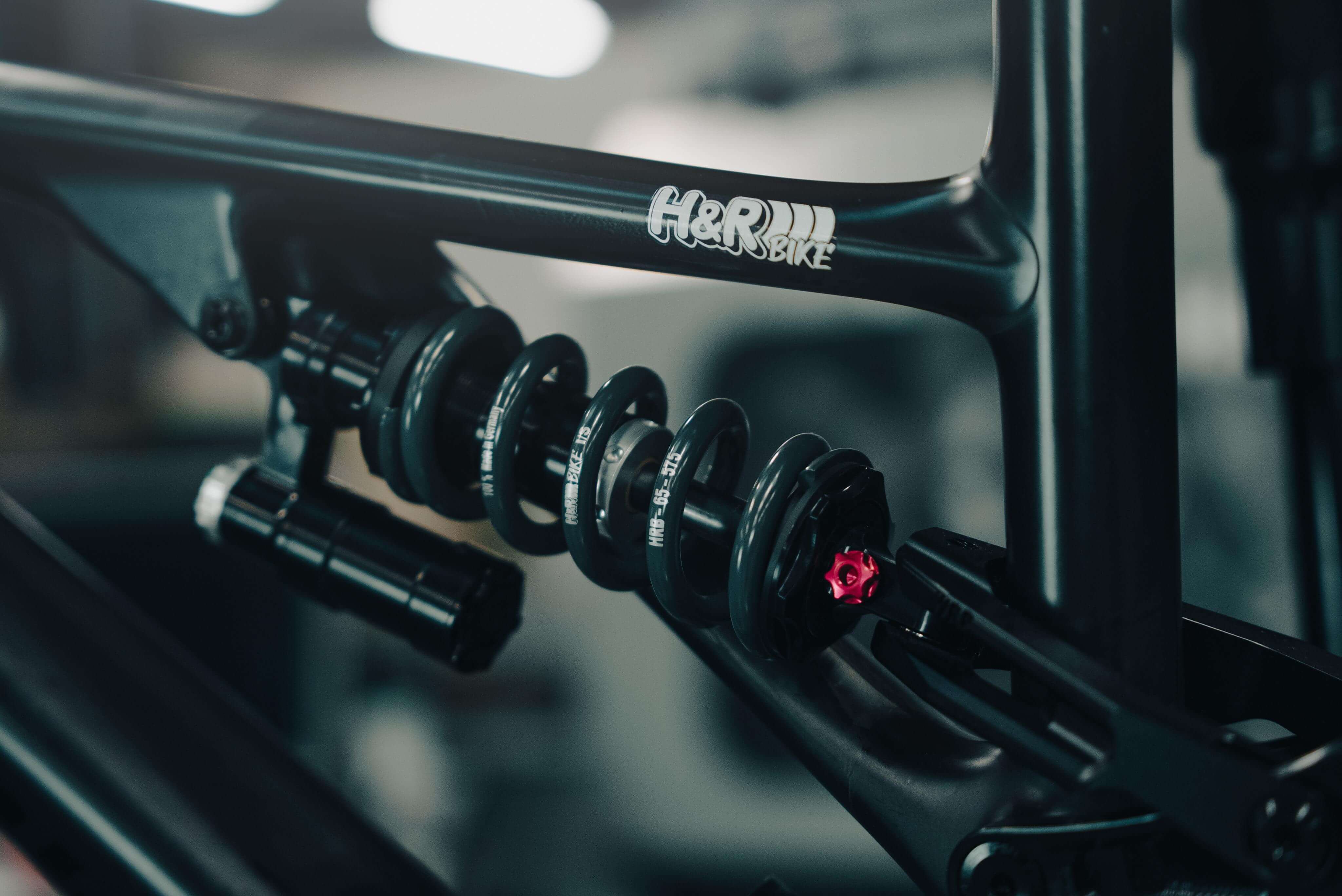 Quer Bike 6.jpg