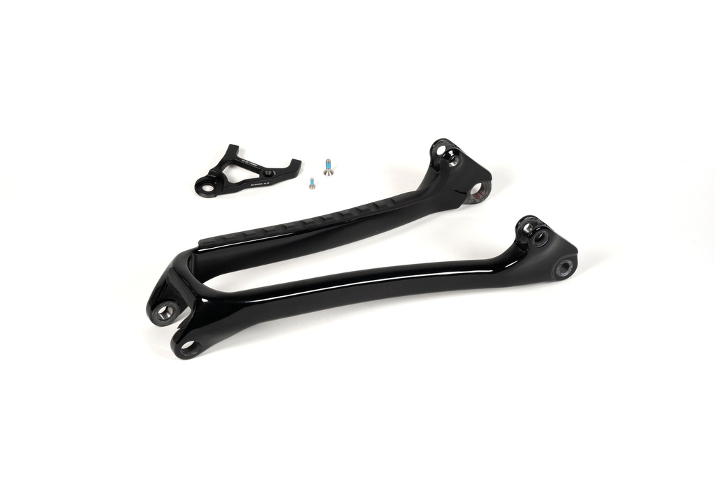 Aftermarket Druid V2 Frame Carbon (CS29, Stardust).jpg